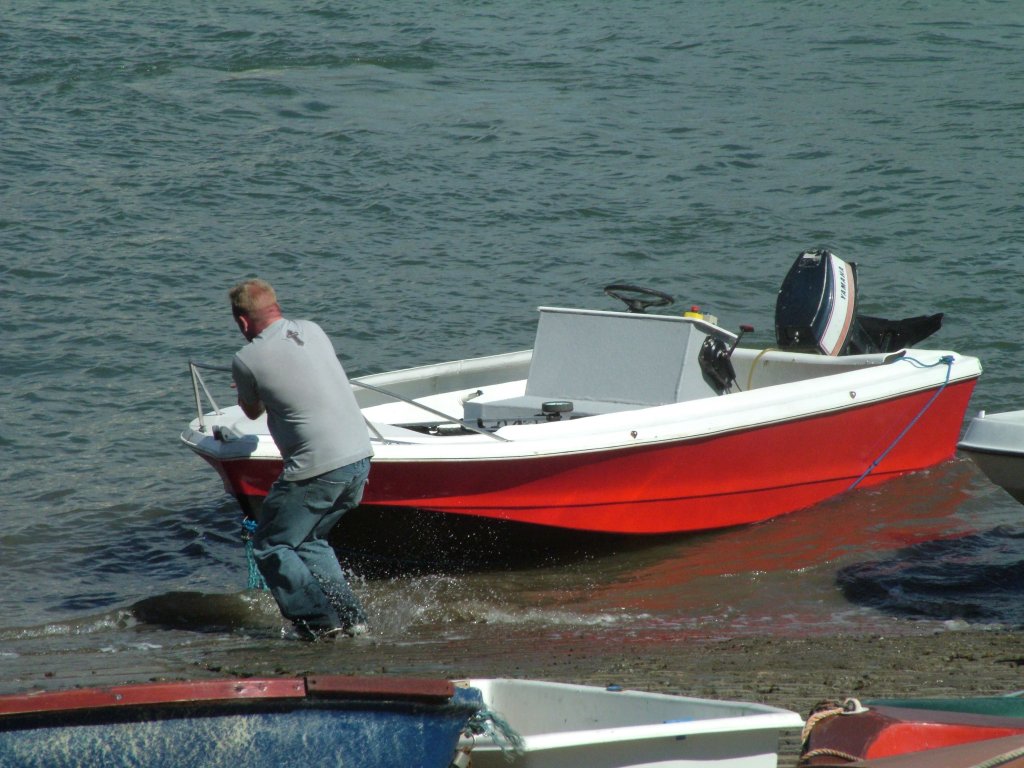 Click now to see this image full size.