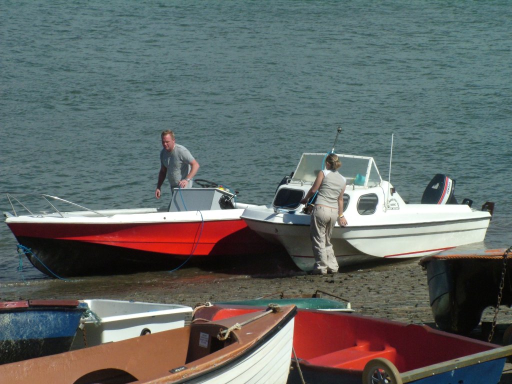 Click now to see this image full size.