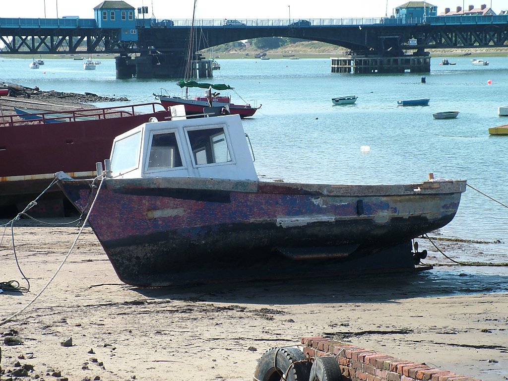 Click now to see this image full size.