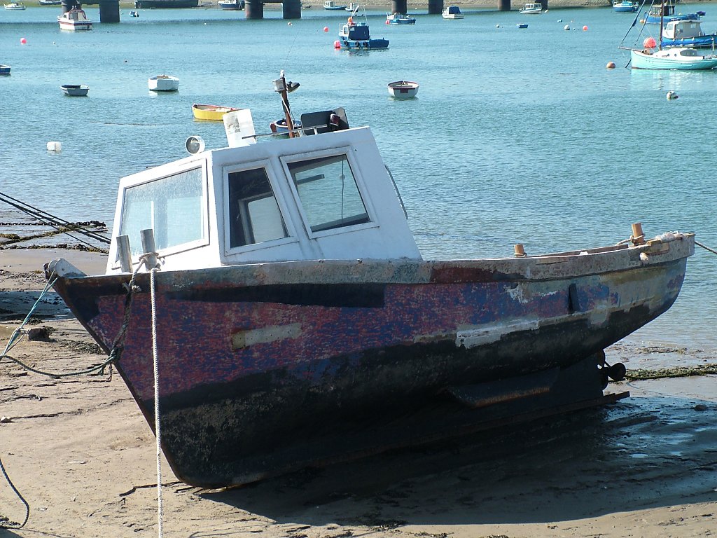 Click now to see this image full size.