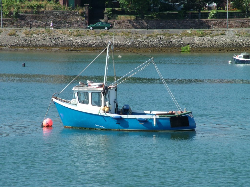 Click now to see this image full size.