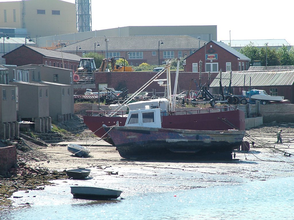 Click now to see this image full size.