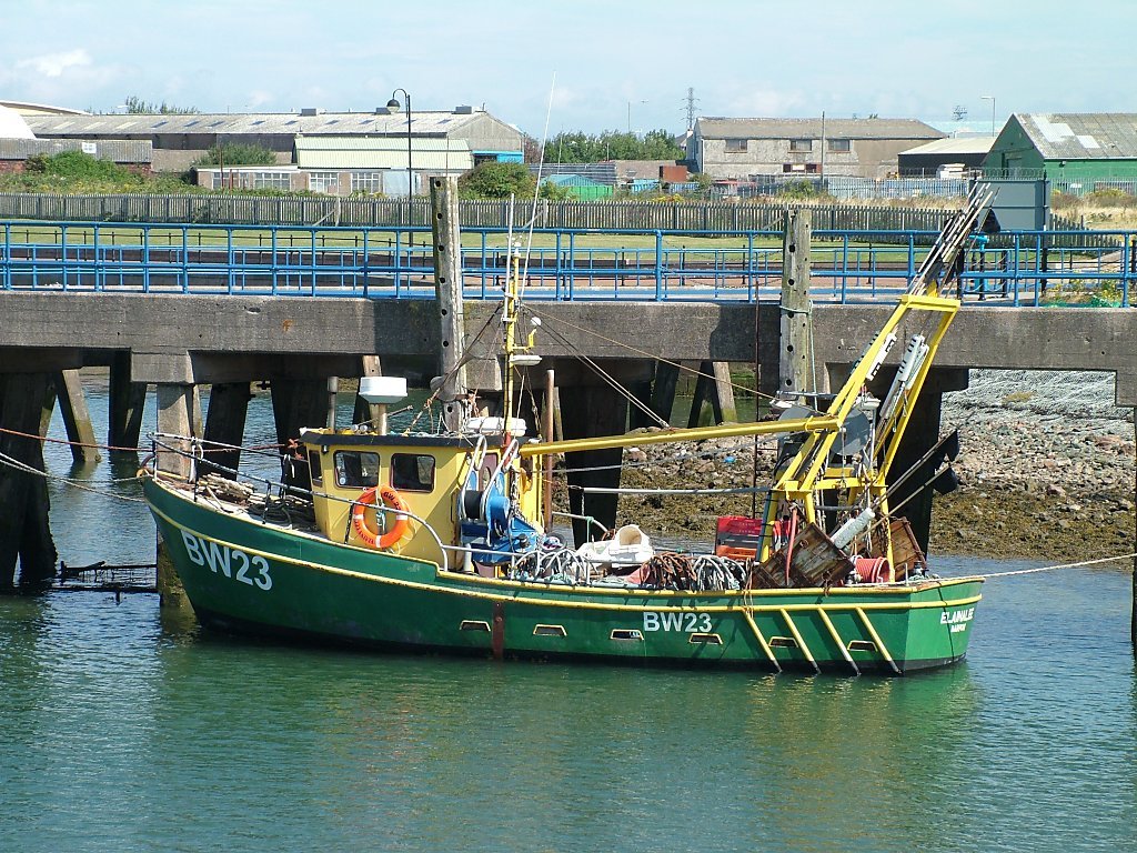 Click now to see this image full size.