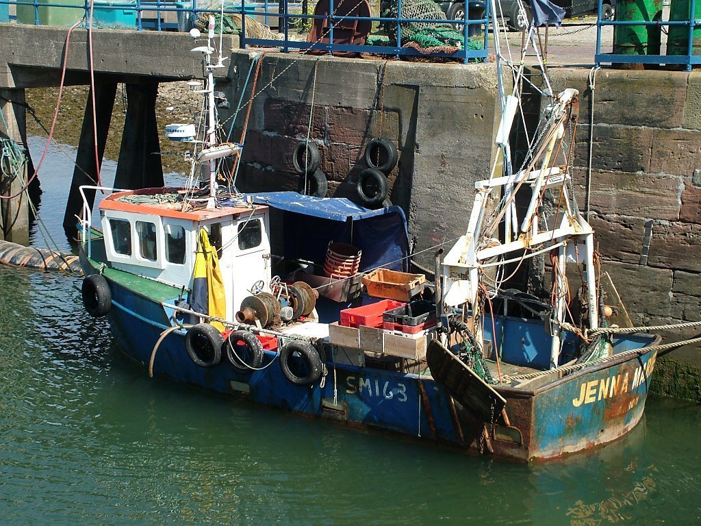 Click now to see this image full size.