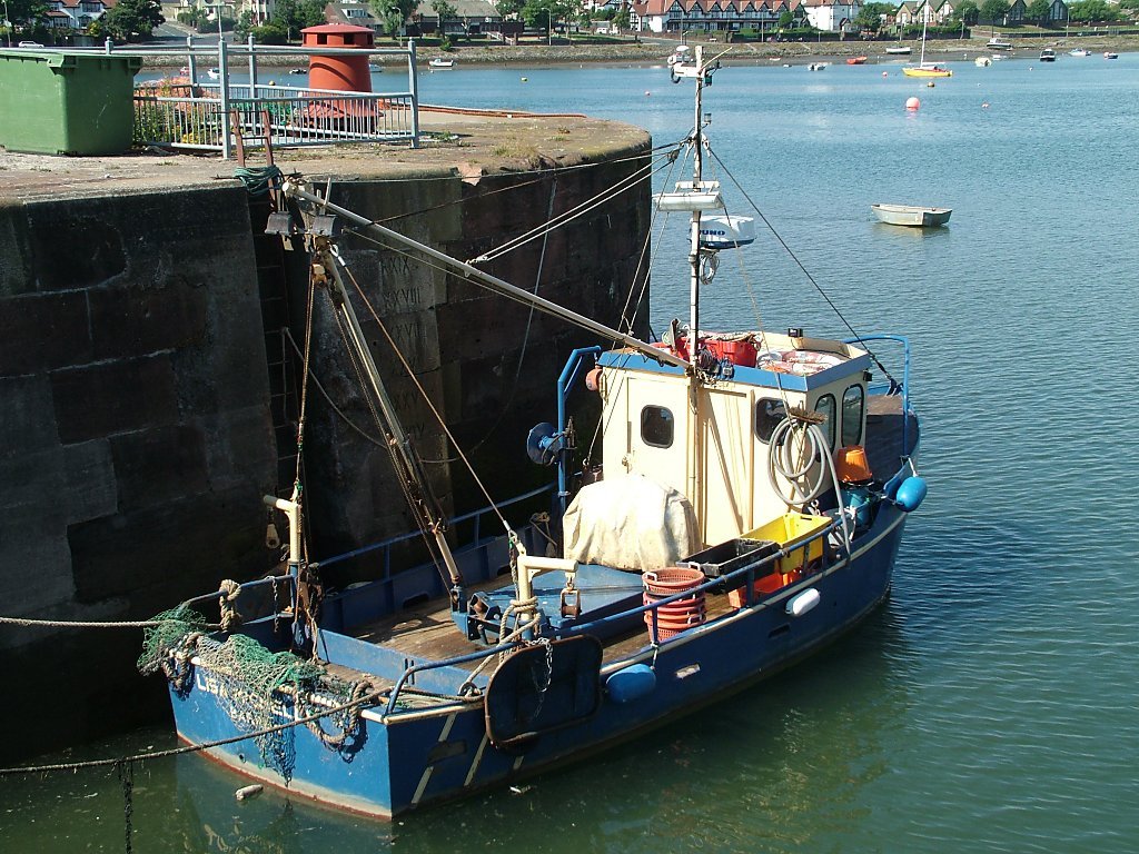 Click now to see this image full size.