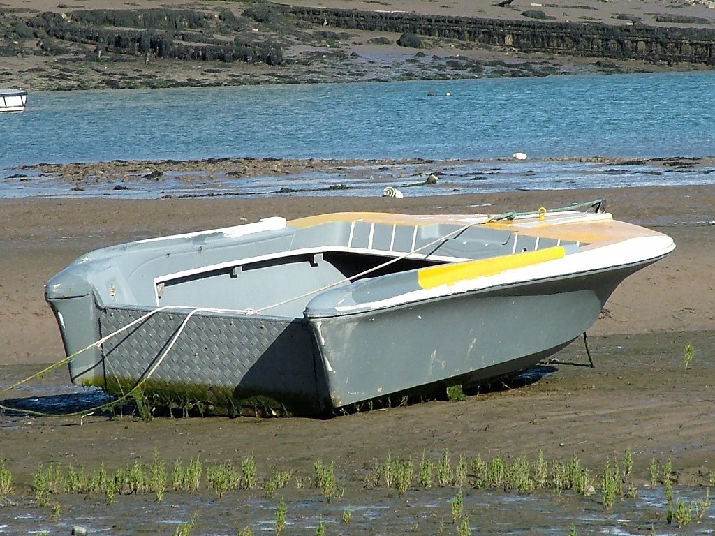 Click now to see this image full size.