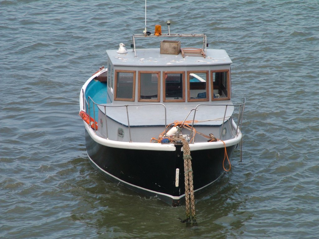 Click now to see this image full size.