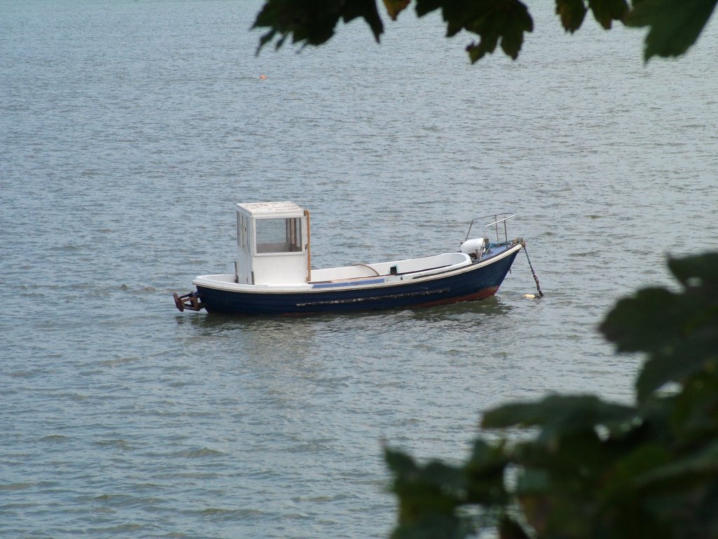 Click now to see this image full size.