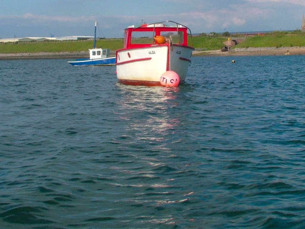 Click now to see this image full size.