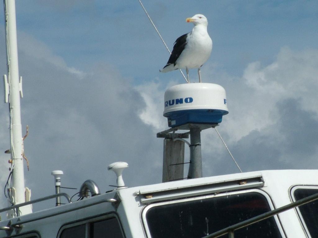 Click now to see this image full size.