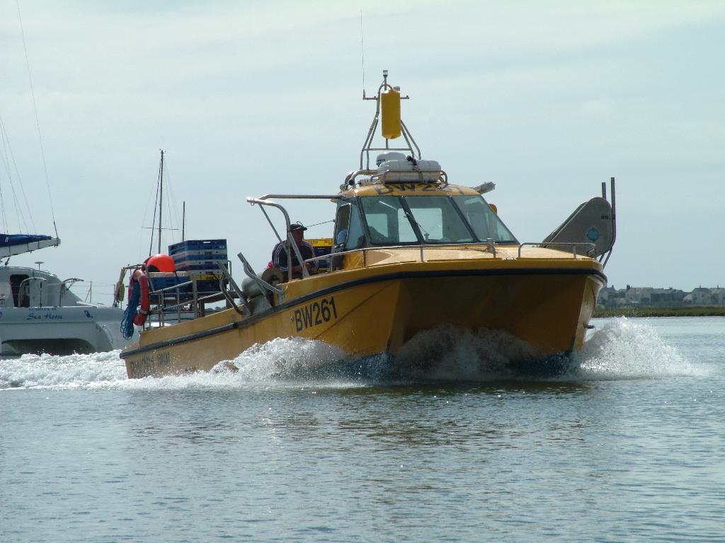 Click now to see this image full size.