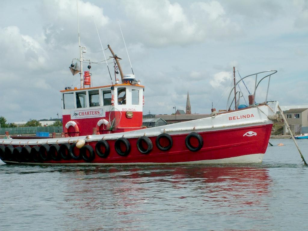 Click now to see this image full size.