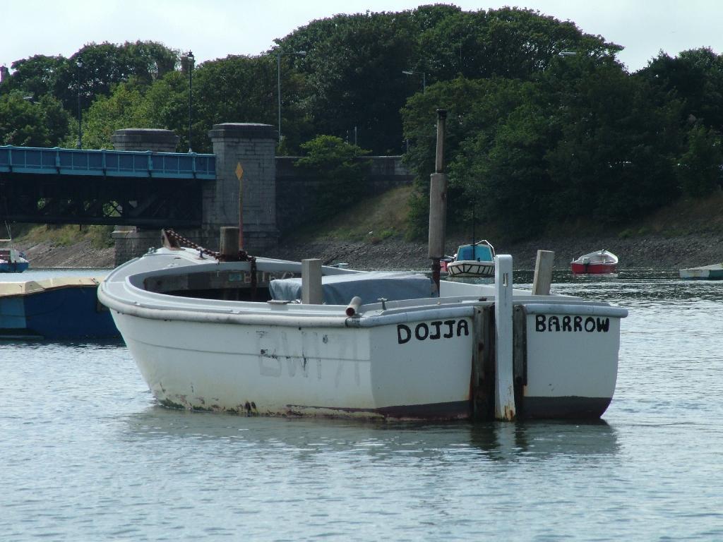 Click now to see this image full size.