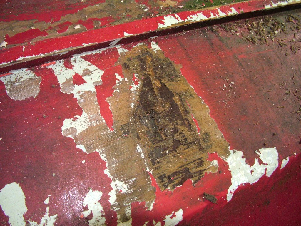 Click now to see this image full size.