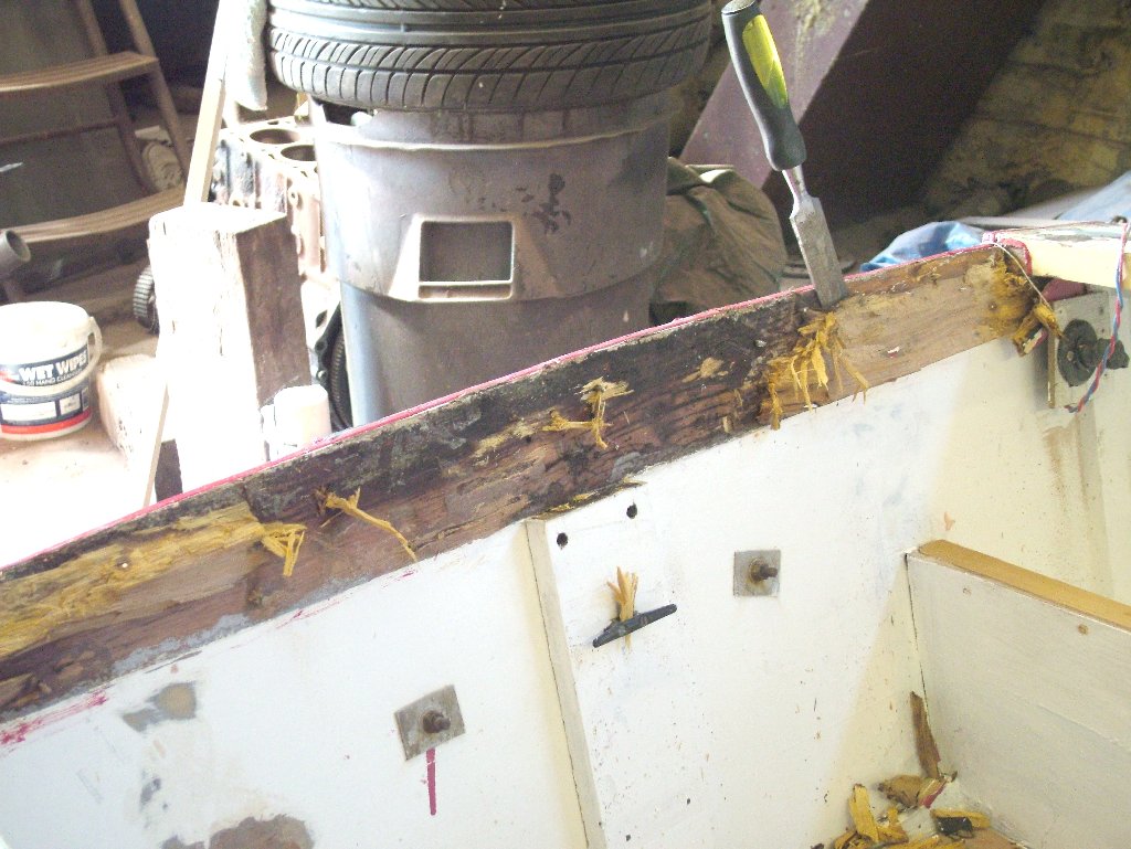 Click now to see this image full size.