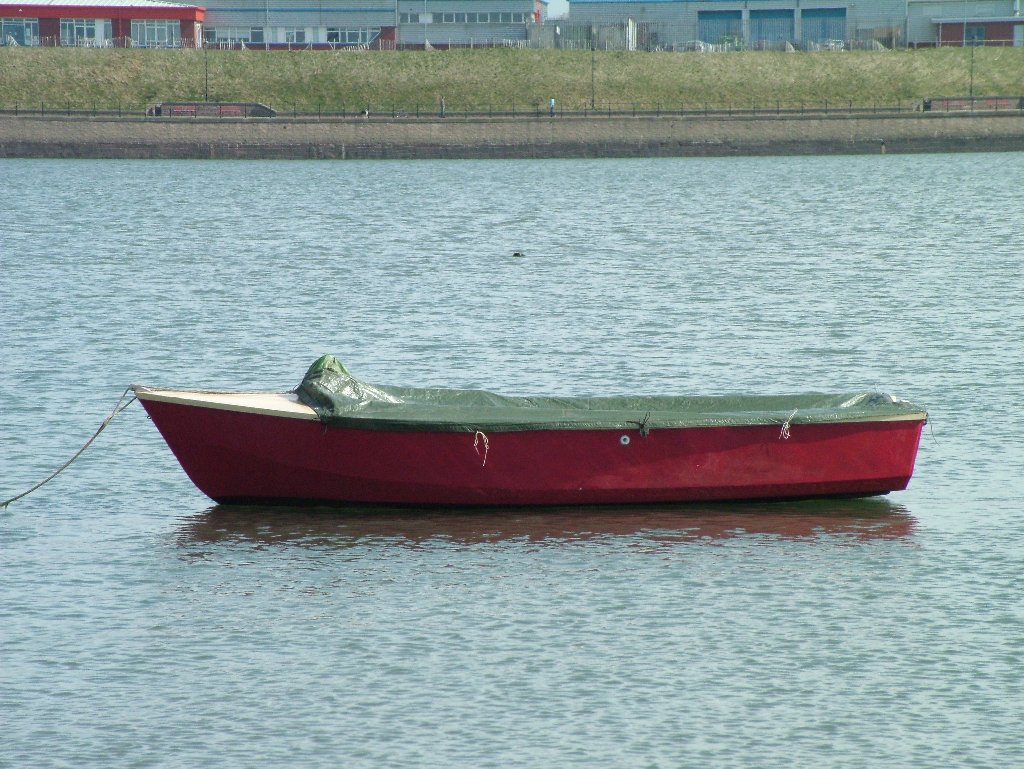 Click now to see this image full size.