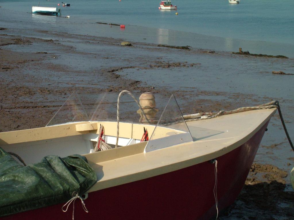 Click now to see this image full size.