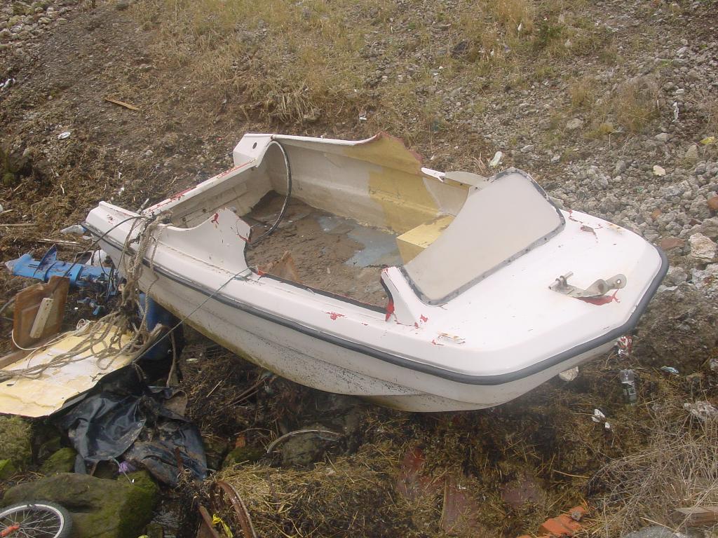 Click now to see this image full size.