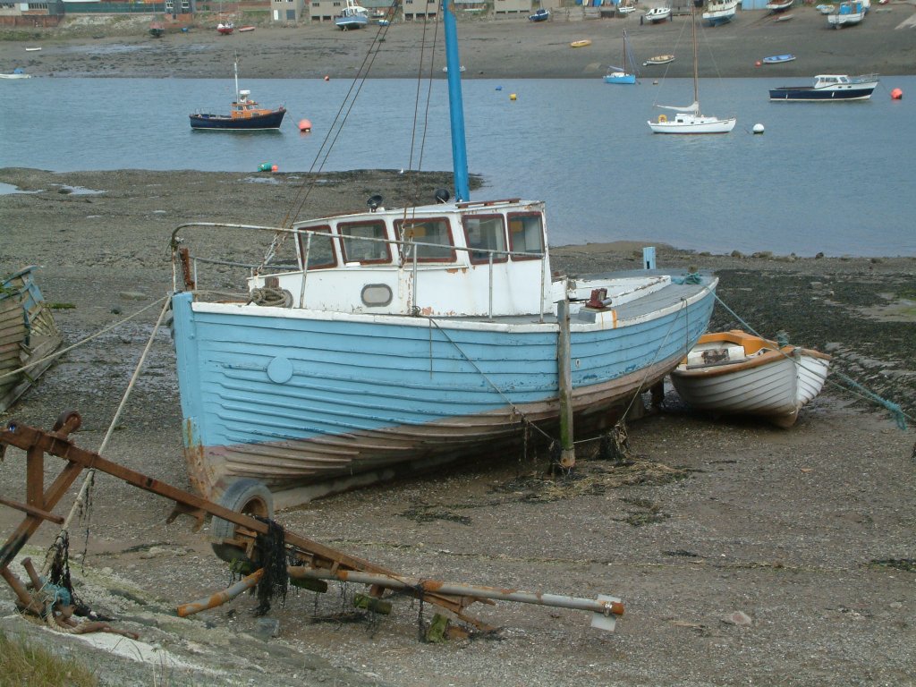 Click now to see this image full size.