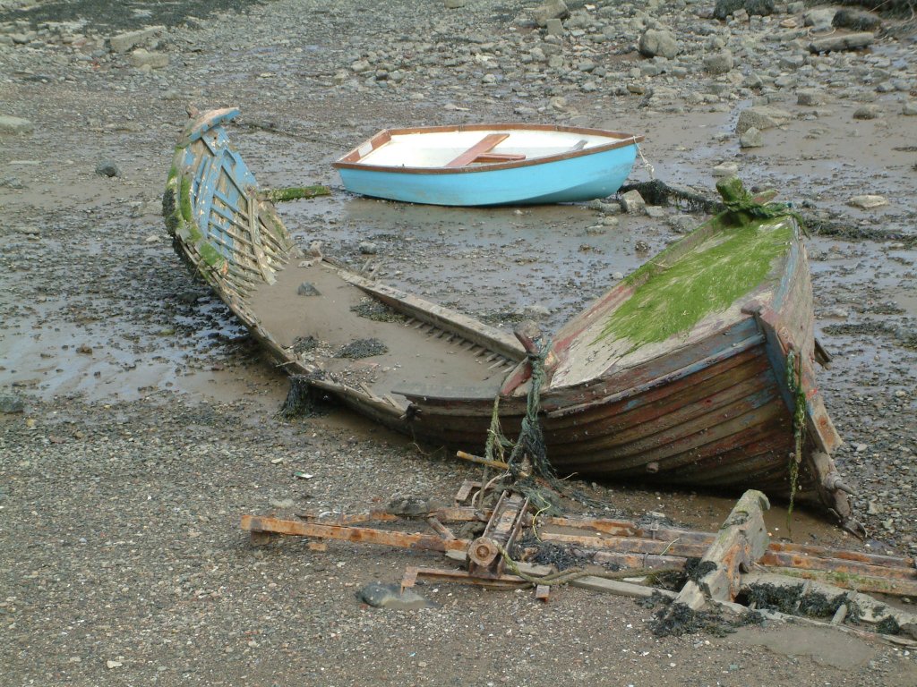 Click now to see this image full size.