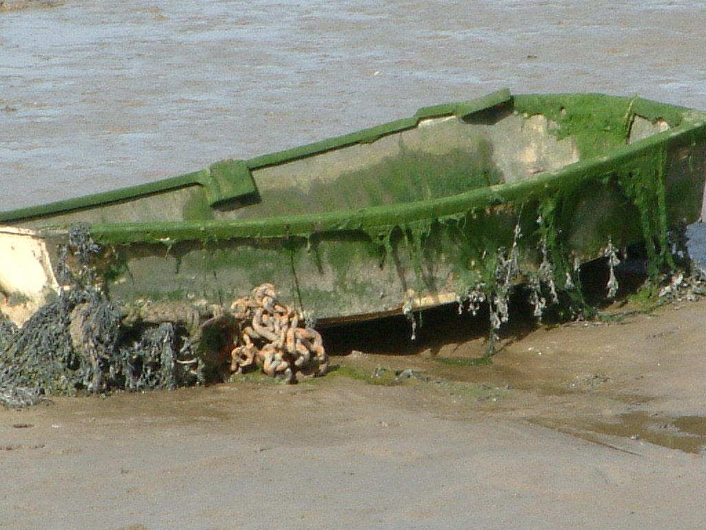 Click now to see this image full size.