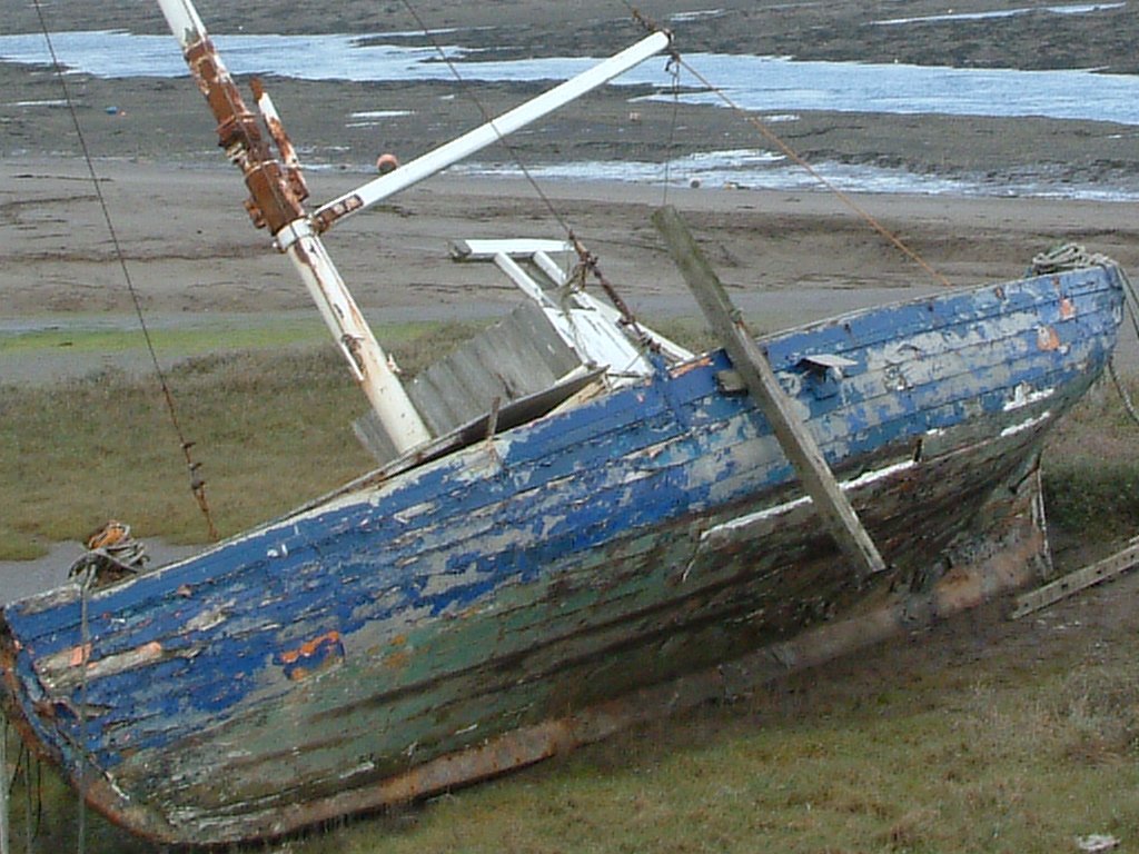 Click now to see this image full size.