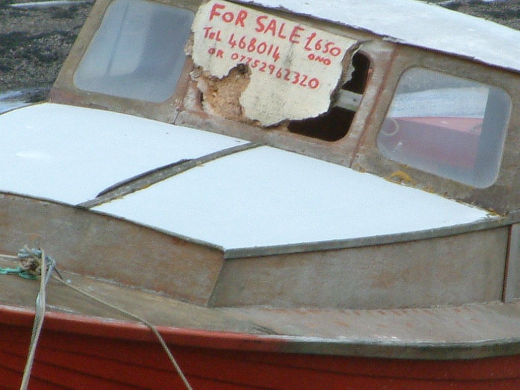 Click now to see this image full size.