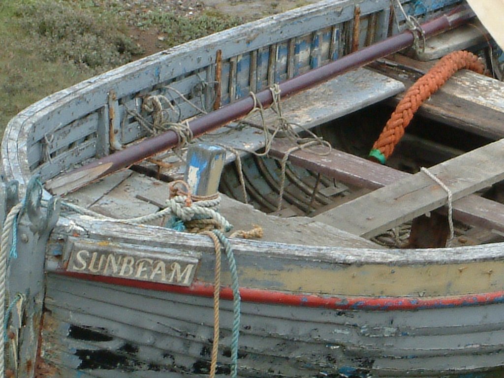 Click now to see this image full size.