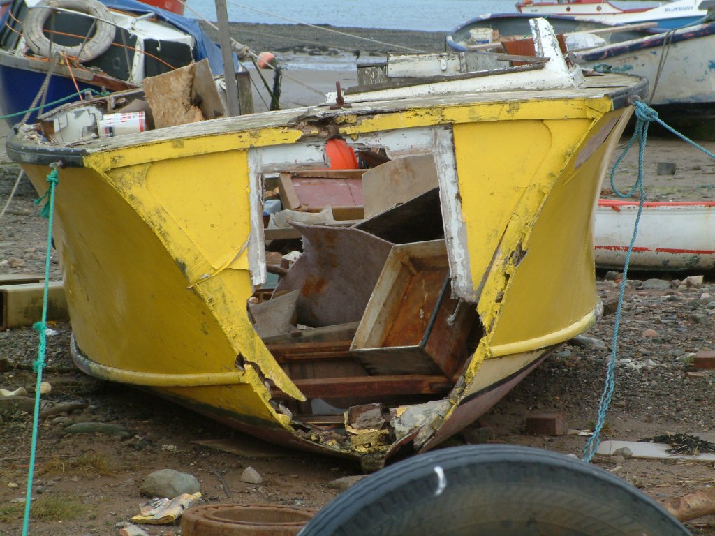 Click now to see this image full size.