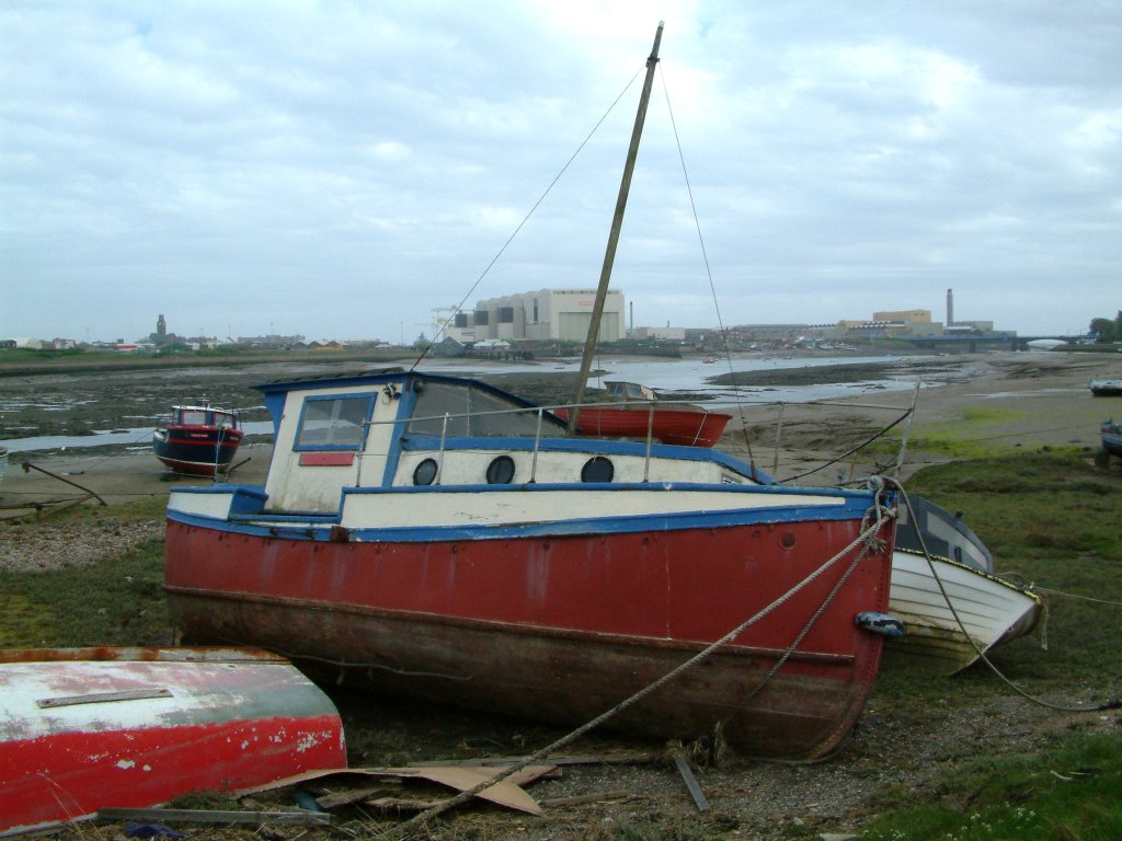 Click now to see this image full size.