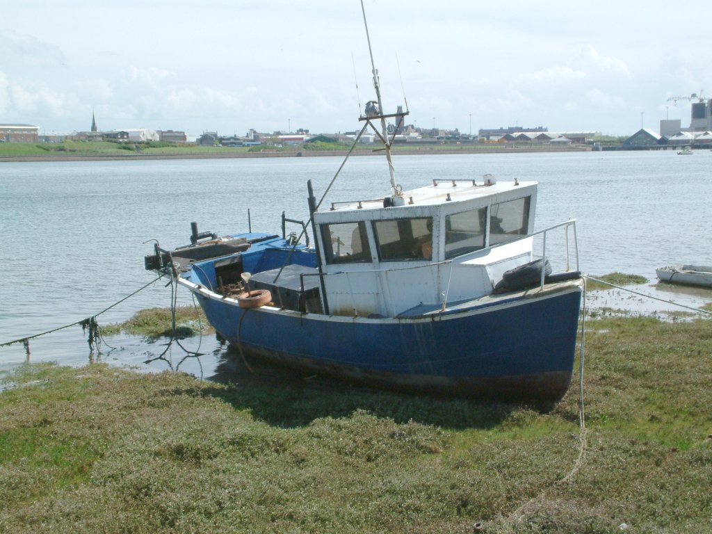 Click now to see this image full size.