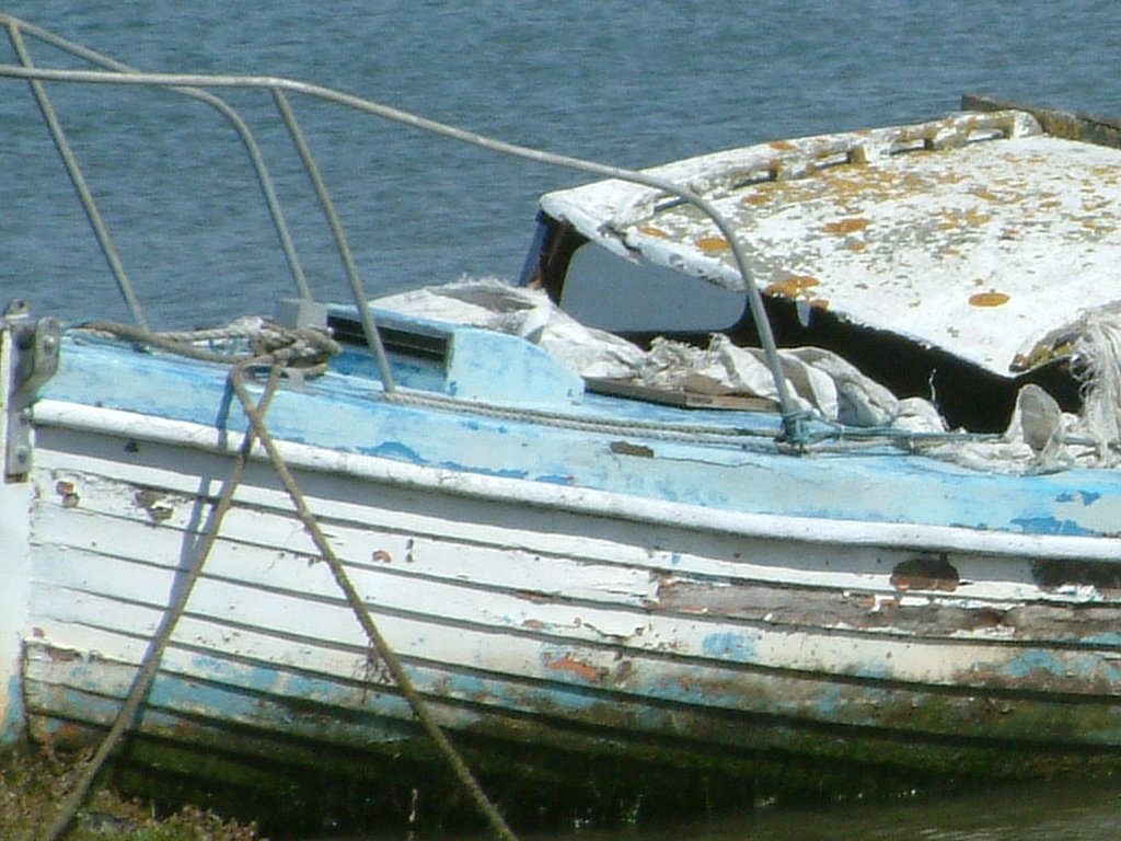 Click now to see this image full size.