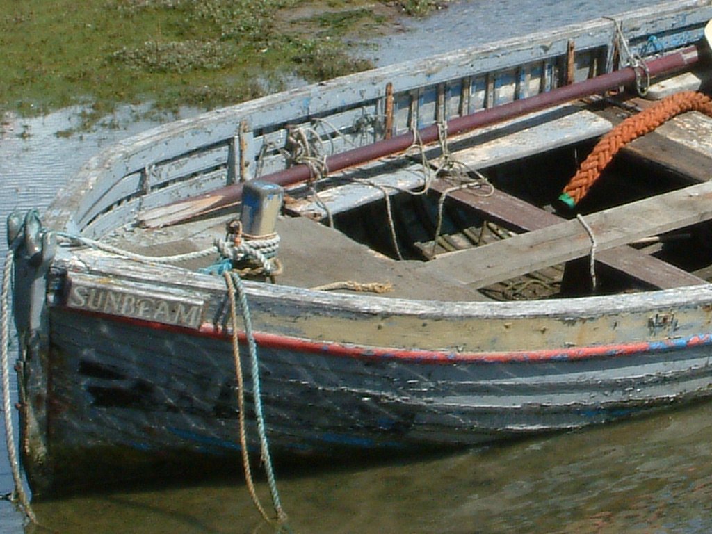 Click now to see this image full size.