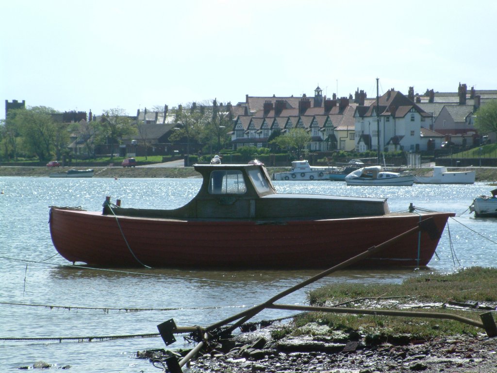 Click now to see this image full size.