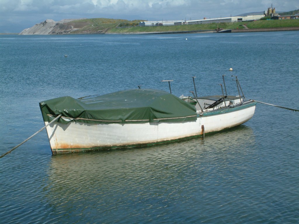 Click now to see this image full size.