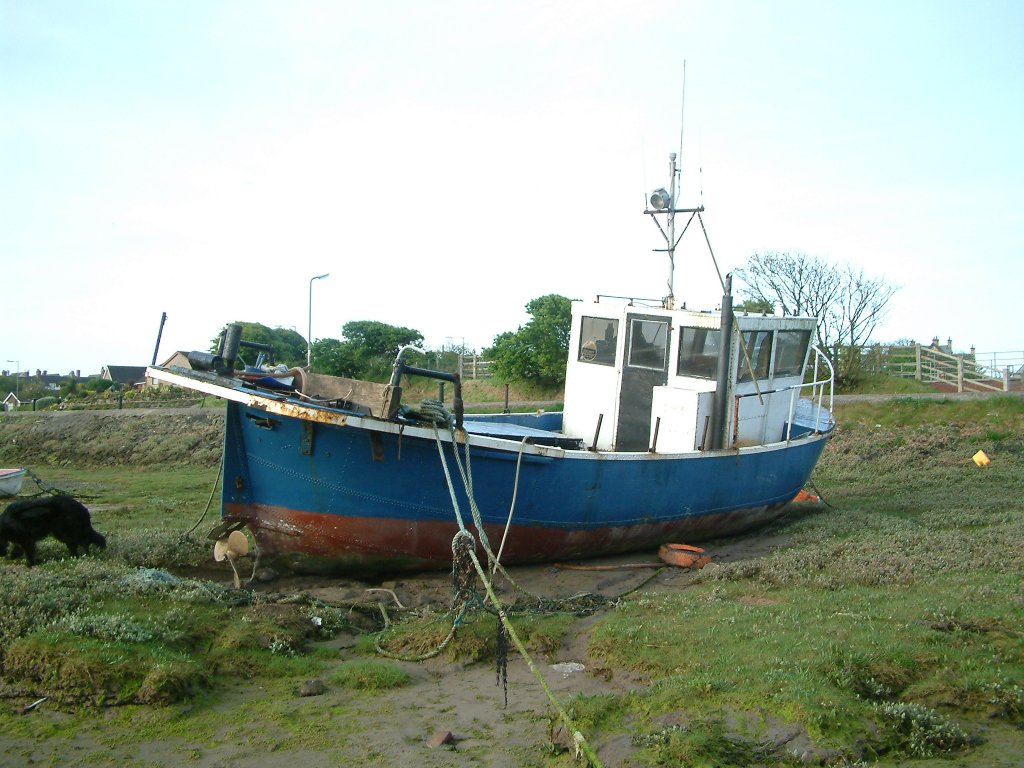 Click now to see this image full size.