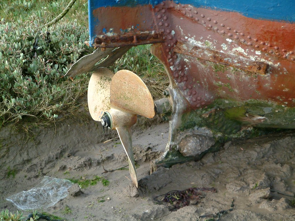 Click now to see this image full size.