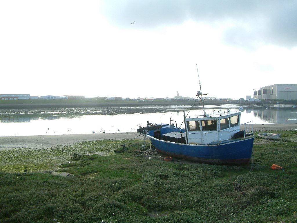 Click now to see this image full size.