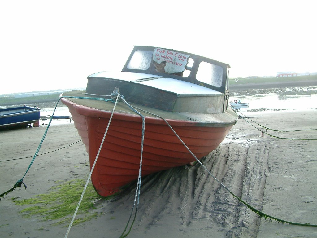 Click now to see this image full size.