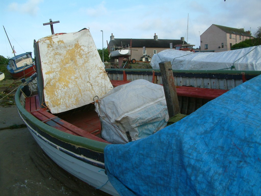 Click now to see this image full size.