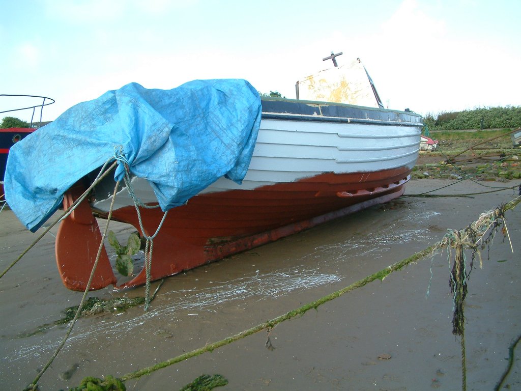 Click now to see this image full size.