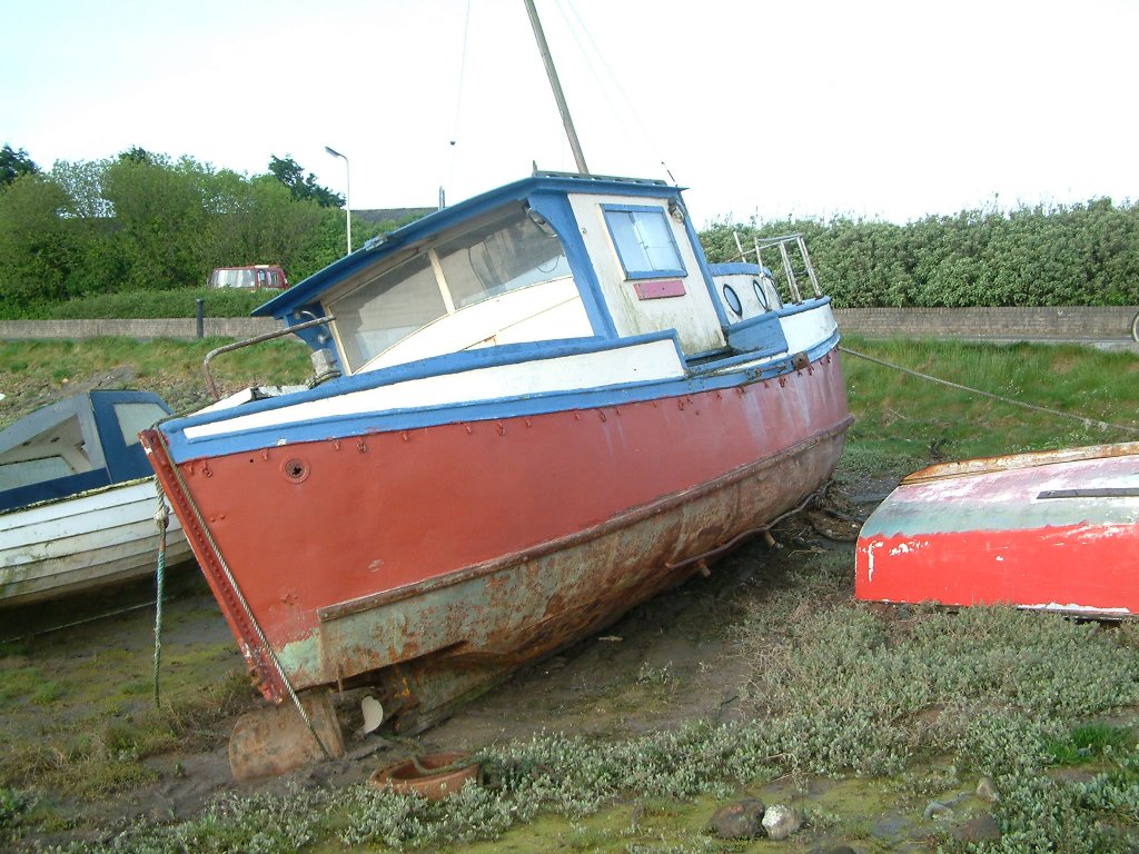 Click now to see this image full size.