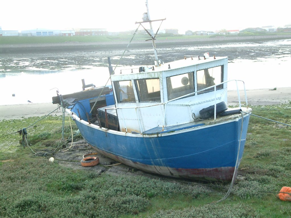 Click now to see this image full size.