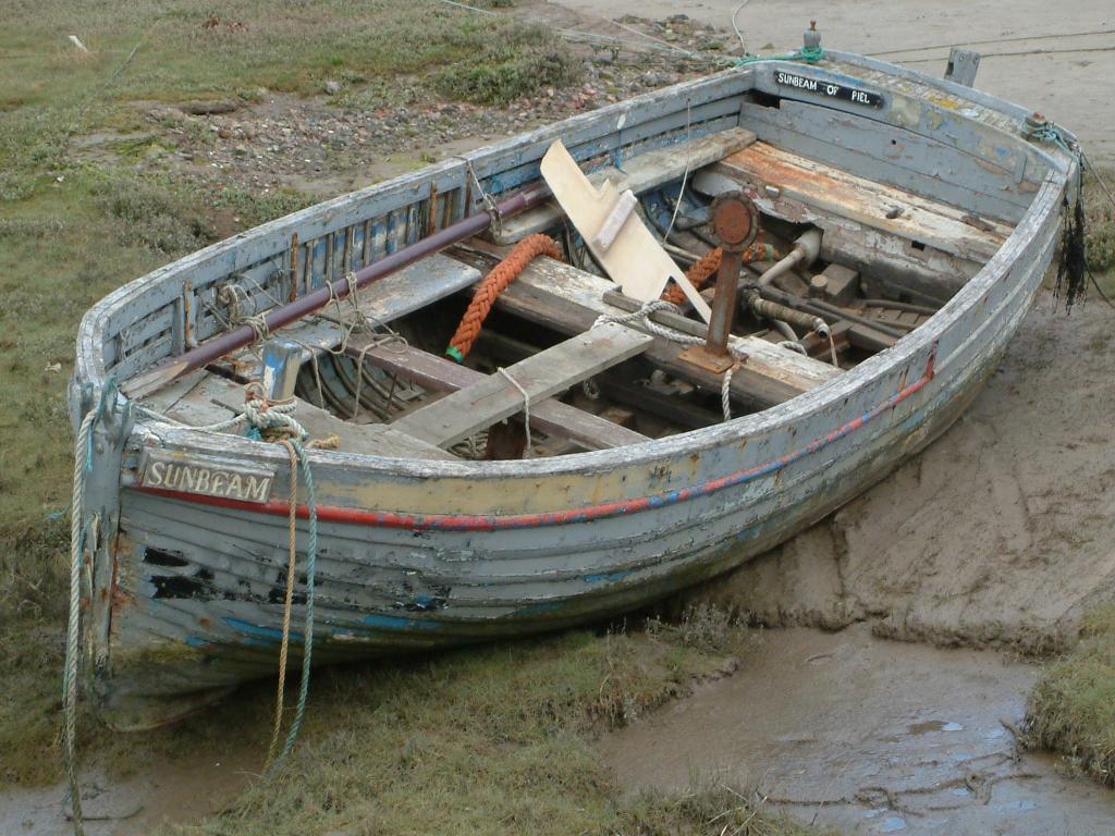 Click now to see this image full size.