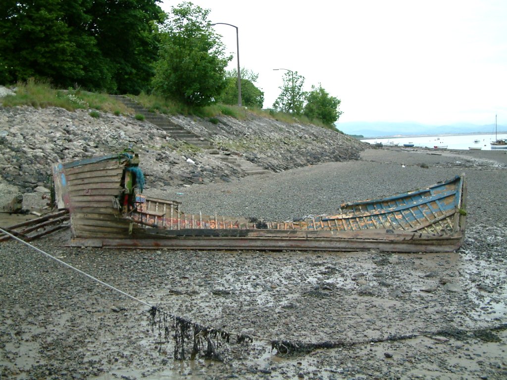 Click now to see this image full size.