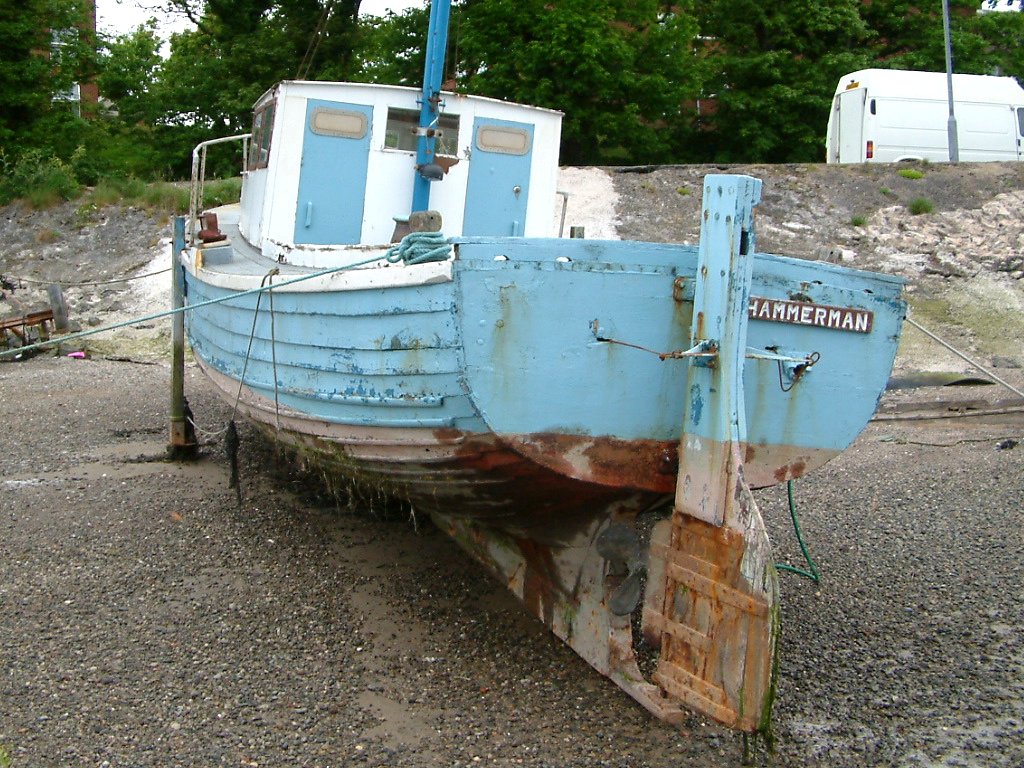 Click now to see this image full size.