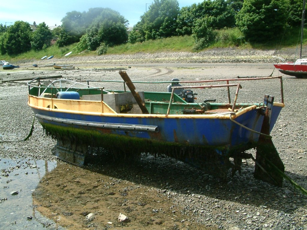 Click now to see this image full size.