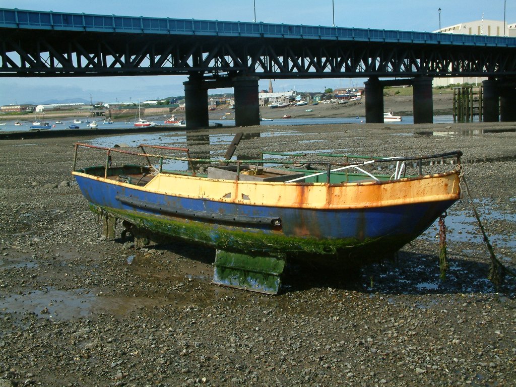 Click now to see this image full size.