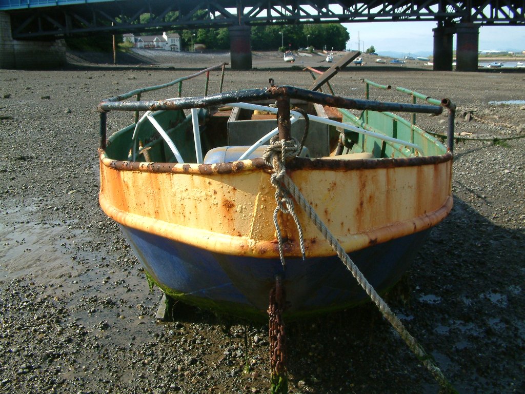 Click now to see this image full size.