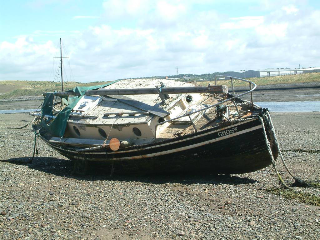 Click now to see this image full size.